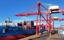 Pakistan săn chục nghìn tấn 'vàng xanh' của Việt Nam: thuế nhập khẩu 0%, Việt Nam là ông trùm đứng thứ 5 thế giới