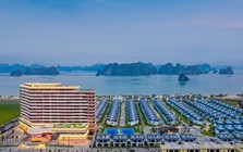 CEO Group lập thêm một công ty con