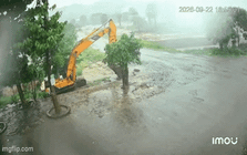 Camera ghi lại khoảnh khắc nước cuốn ô tô xuống hồ, nữ chủ xe nghi bị mất tích