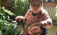 Cụ bà 94 tuổi có 300.000 người hâm mộ: Một mình sống đời tự tại, đến người trẻ cũng phải ghen