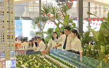 Nhà đầu tư vàng, chứng khoán đi 'tàu lượn', vì sao bất động sản hút dòng tiền?
