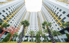 Tecco Felice Homes Hồ Chí Minh: 1,4 tỷ đồng sở hữu căn hộ 2PN – Nhận nhà ở ngay, sổ hồng trao tay