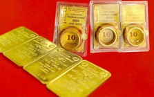 Giá vàng nhẫn trơn, vàng miếng sáng 25/9 tại SJC, PNJ, DOJI, Bảo Tín Minh Châu và Phú Quý