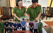 Thi hành lệnh bắt tạm giam Dương Thị Quỳnh 33 tuổi, truy xét 1.427 nạn nhân