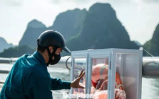 Quảng Ninh giăng 'lưới” áo phao an toàn dọc đường bao biển