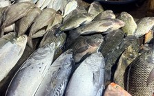 Đi chợ mua cá mà biết chọn ngay 7 loại, chuyên gia dinh dưỡng cũng phải khen: "Rất khôn ngoan"
