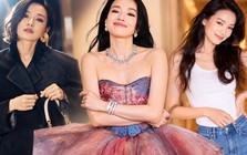 Thư Kỳ 50 tuổi vẫn giữ phong độ, mảnh mai nhưng không quá gầy: Hóa ra bữa tối chỉ ăn thế này