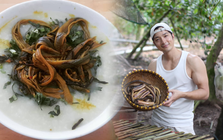 Khách Nhật ghen tị với món bán đầy chợ quê Việt Nam giá chưa tới 100.000 đồng/kg, trong khi ở quê anh loại tương tự đã mất 96% sản lượng tự nhiên