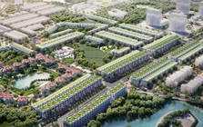 Mã KOS giảm sàn 5 phiên liên tiếp, Kosy Group giải trình gì?
