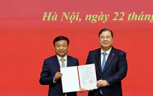 Thủ tướng điều động, bổ nhiệm, phê chuẩn nhân sự