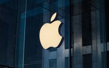 Mức lương của CEO và Chủ tịch Apple