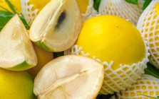 1 loại quả ngọt tốt ngang nhân sâm, chỉ duy nhất Việt Nam xuất khẩu trên thế giới: Hạ đường huyết, bổ máu, tốt cho xương khớp