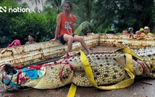 Nước lũ dâng cao, chùa ở Thái Lan dùng cần cẩu di chuyển cá sấu hơn 400kg