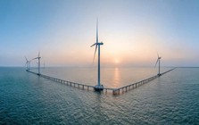 REE Energy cùng thành viên của Xuân Cầu Holdings đề xuất dự án điện gió 200 MW tại Cần Thơ