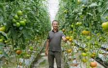 Những mô hình nông nghiệp tiền tỷ được gây dựng từ chính lợi thế quê hương