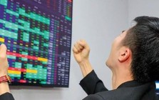 CTCK điểm tên 3 "gã khổng lồ" cảng biển có thể báo lãi tăng vọt trong quý 3/2026