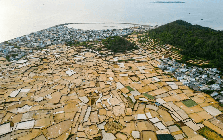 Không phải Sa Pa, Việt Nam có một nơi giữa biển cũng xuất hiện những thửa "ruộng bậc thang", bờ ruộng làm từ đá núi lửa