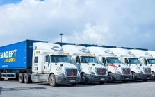 Gemadept phát hành hơn 216 triệu cổ phiếu thưởng cho cổ đông