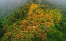 Một “kỳ quan” chưa từng có sắp xuất hiện ở Hà Nội: Rộng 580ha, được đầu tư 10.000 tỷ đồng