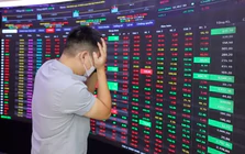 Tin vui không cứu nổi NVL, KOS nằm sàn 7 phiên liên tiếp