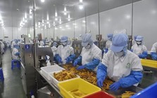 Nhiều người Campuchia đổi đời nhờ Trung Quốc, thu nhập lên tới 13 triệu đồng/tháng
