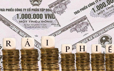 Đầu tư và phát triển bất động sản Phát Đạt thanh toán lãi cho 3 lô trái phiếu 11.000 tỷ đồng