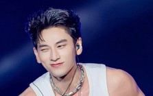 Ca sĩ Việt được đề cử đẹp nhất thế giới: Hát tới khi chống gậy, nhan sắc bảo chứng càng có tuổi càng lên hương