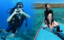 Hứng lên là đặt vé máy bay đi Indonesia lặn biển, kèo du lịch chốt trong vài phút: Sẵn tiền rồi tội gì phải lên plan kỹ càng?