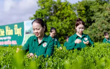 Mô hình 'Hợp tác xã xã hội chủ nghĩa' ở Thái Nguyên có gì đặc biệt?