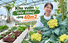 Khu vườn 40m² trên sân thượng ở TP.HCM: Rau xanh ăn quanh năm, chiều nào gia chủ cũng lên “xả stress”
