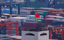 Quốc gia láng giềng Việt Nam cảnh báo rắn tới châu Âu