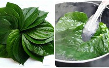Lá trầu không có tác dụng gì?