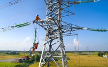 Tổng công ty Điện lực miền Nam cảnh báo khẩn