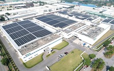 Terumo Việt Nam kiến tạo môi trường làm việc bền vững