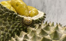 Không phải Thái Lan hay Việt Nam, một quốc gia Đông Nam Á sắp có 'đặc quyền' cho sầu riêng tại Trung Quốc, thông quan chỉ mất 3-4 giờ