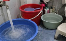 Lời khuyên cho những gia đình thường trữ nước máy trong xô, chậu