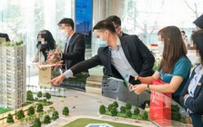 Tất cả môi giới bất động sản chú ý quy định phạt đến 60 triệu đồng từ ngày 26/8