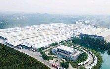 Trước thềm huy động vốn gần 800 tỷ đồng, Amy Grupo của Chủ tịch 75 tuổi báo lãi giảm 13%