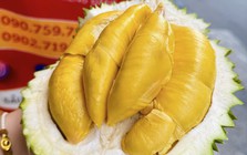 Vì sao sầu riêng tiền triệu luôn hút khách?