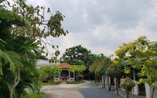 Việt Nam đã có "nhà dưỡng lão" nhận chăm sóc miễn phí hơn 200 người cao tuổi đến cuối đời: Khuôn viên viện rộng 1200m2, bao quanh nhiều hoa và cây xanh