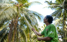 AIG tiếp tục phát triển hệ sinh thái bền vững từ vùng nguyên liệu đến cộng đồng