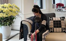 Biệt thự 3 tầng toàn màu trắng của mỹ nhân Hà Nội 30 tuổi chưa lấy chồng, được báo Trung khen là "quốc bảo nhan sắc"