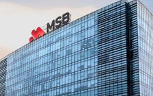 Con trai Chủ tịch MSB đã mua 20 triệu cổ phiếu như đăng ký