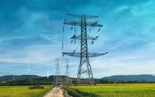 Trước đây phải mất 4 năm, Việt Nam giờ chỉ cần 6 tháng hoàn thành công trình lớn chưa từng có, dùng tới 209.000 tấn thép và 705.000 m3 bê tông