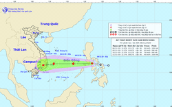 Bão số 11 vừa suy yếu, Biển Đông lại đón áp thấp có thể thành bão số 12