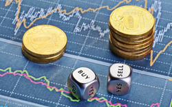 Thủy điện Nậm La nhận chuyển nhượng 10,5 triệu cổ phiếu SMA