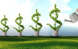Thanh khoản thị trường chứng khoán tăng mạnh phiên đầu tuần, VnIndex đi ngang