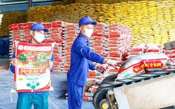 Không nhà đầu tư nào tham gia, phiên đấu giá hơn 21 triệu cổ phiếu LAS thuộc sở hữu Vinachem bị hủy bỏ
