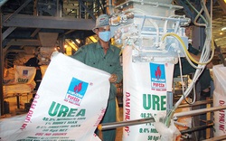 Đạm Phú Mỹ (DPM): Lợi nhuận trước thuế năm 2021 ước đạt kỷ lục 3.600 tỷ đồng