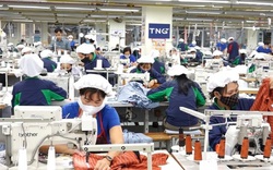 TNG sắp phát hành gần 6,4 triệu cổ phiếu trả cổ tức năm 2021 với tỷ lệ 8%